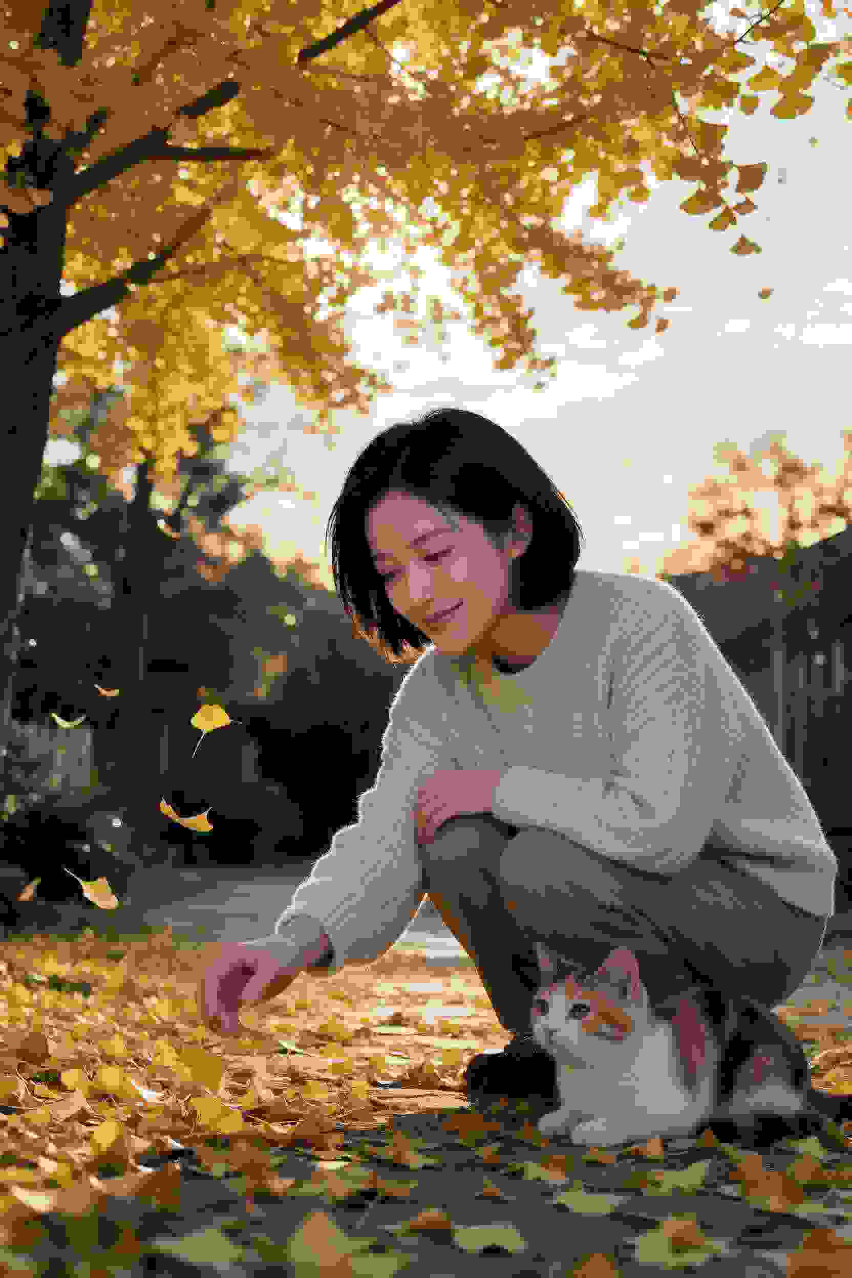 总裁求婚